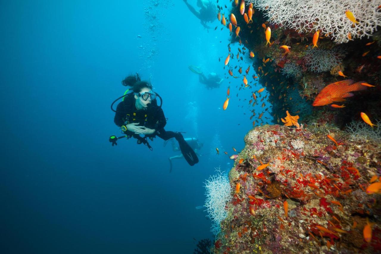 Отель Ja Manafaru, Maldives Хоарафуши Экстерьер фото